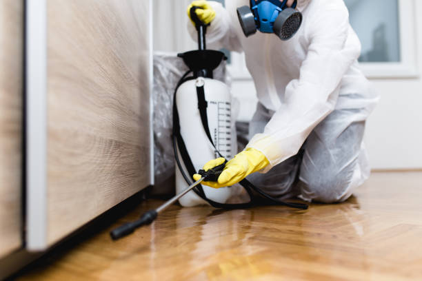 Best Pest Control Near Me  in Buies Creek, NC