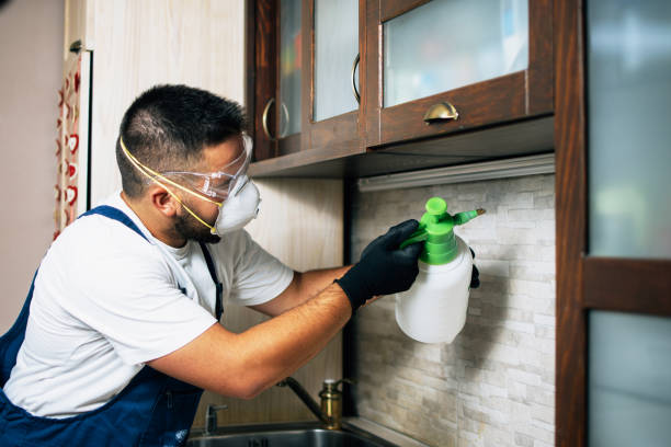 Best Pest Removal Services  in Buies Creek, NC
