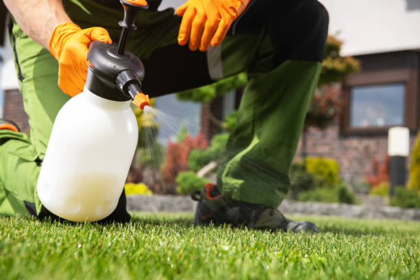 Professional Pest Control in Buies Creek, NC