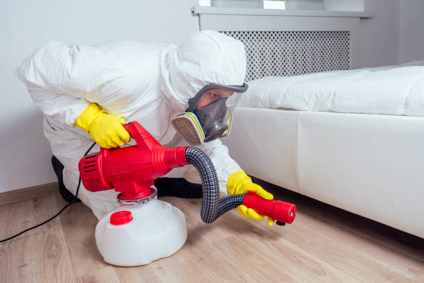 Best Pest Removal Services  in Buies Creek, NC