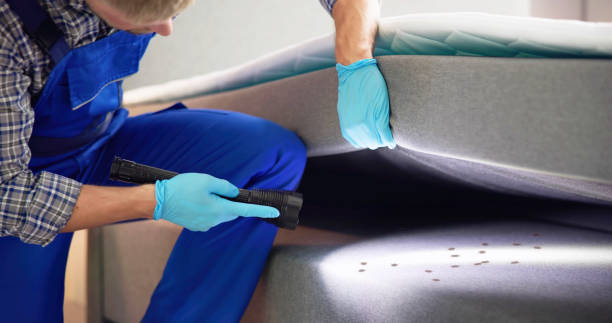  Buies Creek, NC Pest Control Pros