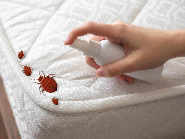 Best Exterminator Services  in Buies Creek, NC