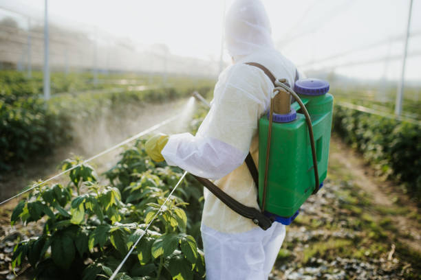 Best Pest Prevention Services  in Buies Creek, NC